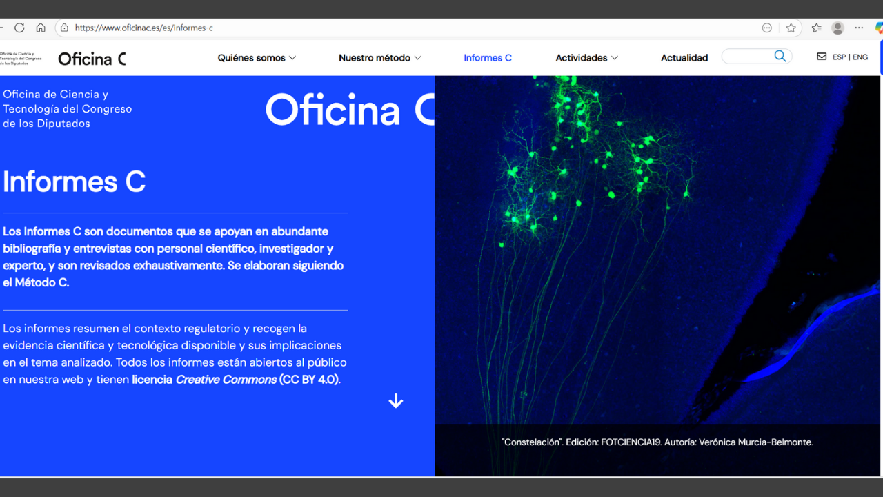 Los Informes C: la visión experta que llega al...